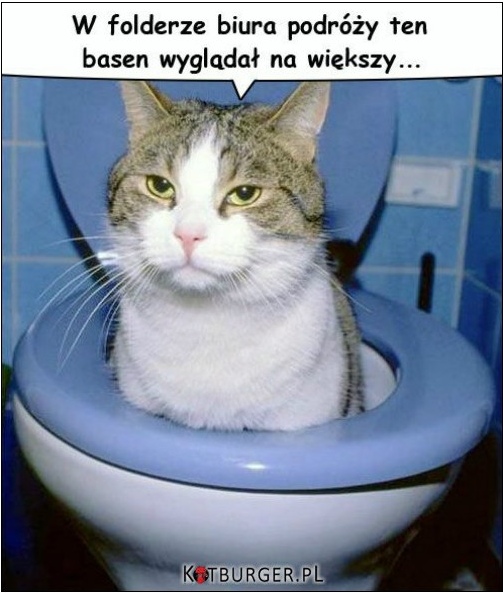 Obrazek