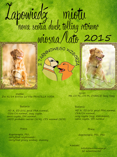 darmowy hosting obrazków