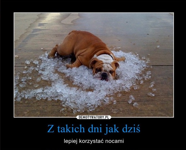 Obrazek