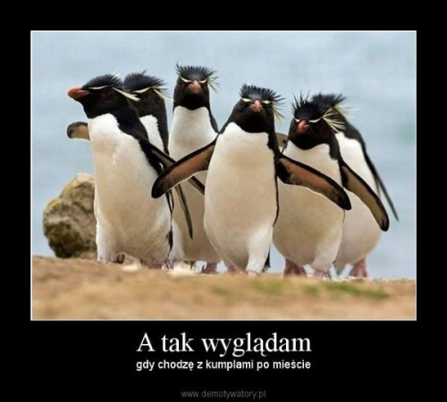 6318e017d3738ff2med.jpg