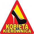 NSK1