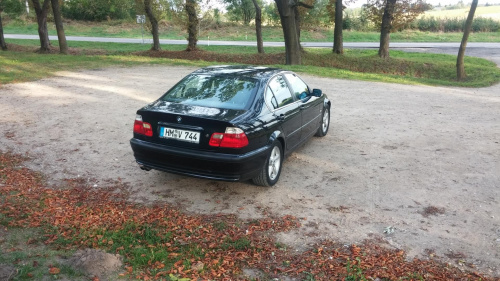 tył1