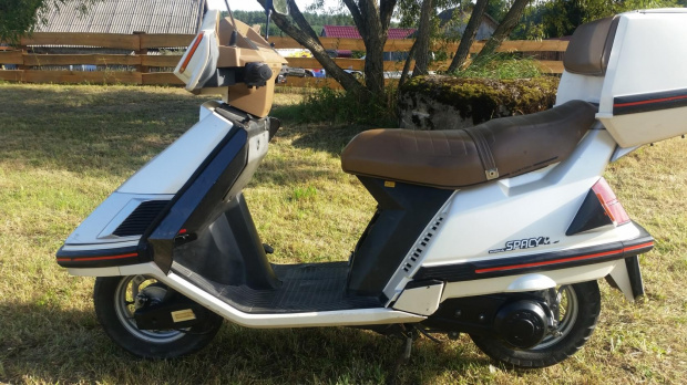 Spacy CH 125