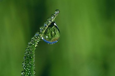 Woda - ożywcza energia świata