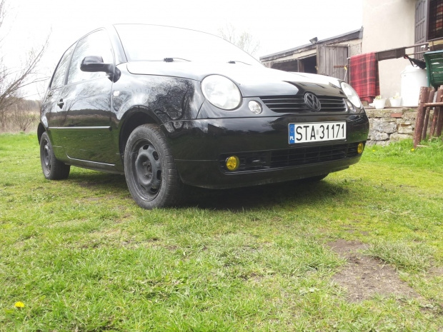 #lupo