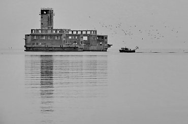 mewy i dwie jednostki
- jedna, to kuter rybacki,
a druga, to 'okręt-widmo'
czyli ruina solidnej niemieckiej
torpedowni w Babich Dołach
- miejsce na tyle przyciągajace,
że jeszcze tam wrócę #BabieDoły #Gdynia #widmo #WidmoIIWojny