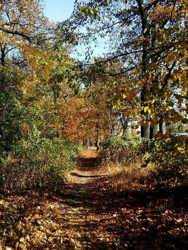 jesienny spacerek