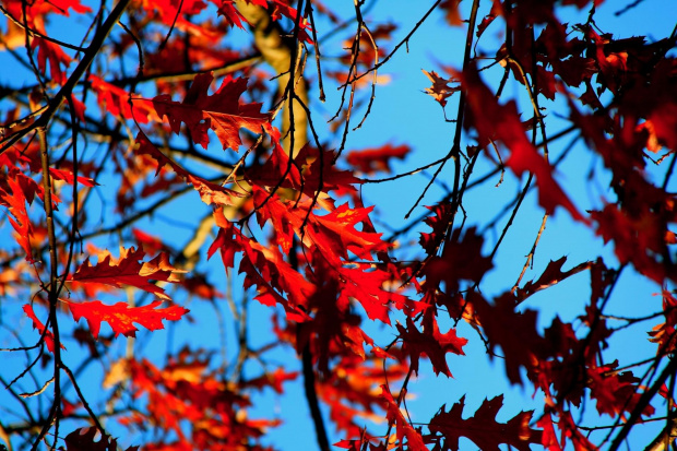 wrzesień #jesien #przyroda #widoki