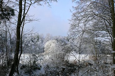 luty #grudzień #gwiazdki #luty #stycvzeń #śnieg #święta #zima