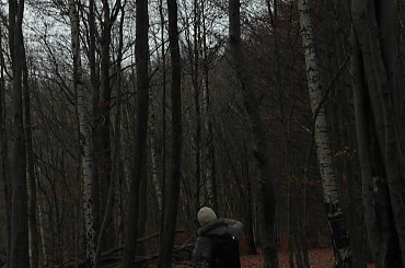 Zajęcia z fotografioi UTW #drzewa #Przyroda