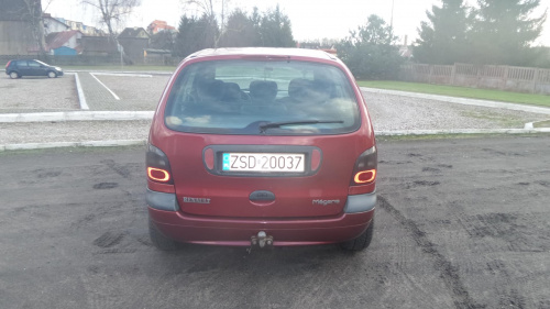 szczeniak