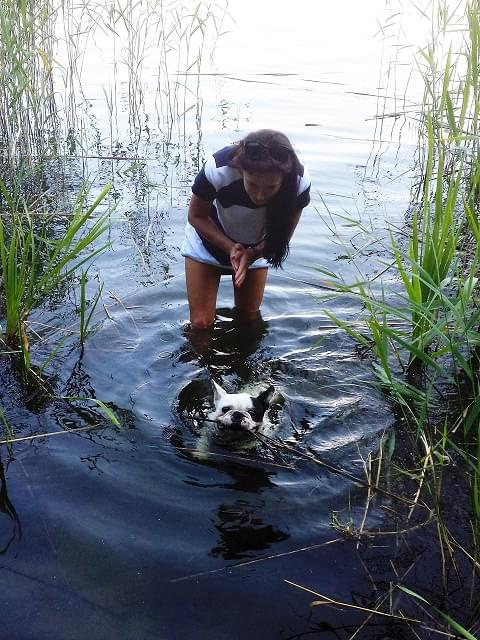 Franio pływa #FrenchieSwimming