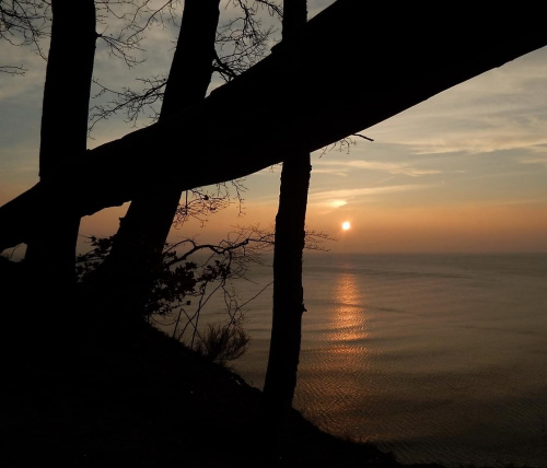 ...i jeszcze jeden słoneczny (trochę) poranek nad Zatoką Gdańską, tym razem oglądany w klifowego brzegu w Gdyni-Orłowie #wschód #sunrise #Bałtyk #klif #Gdynia #Orłowo