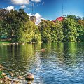 Jezioro w Choszcznie z wieżą ciśnień w tle