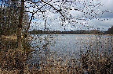 #las #jezioro #wiosna #Mazury #przyroda #krajobrazy