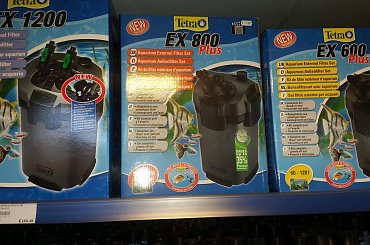 dino breda #Akwarium #breda #dino #RoślinyFiltry #ryby