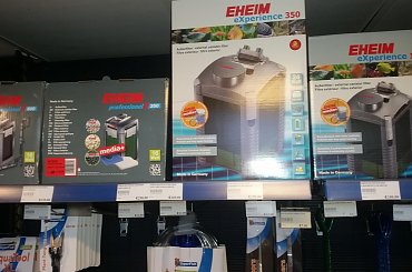 dino breda #Akwarium #breda #dino #RoślinyFiltry #ryby