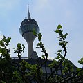 wieża widokowa w Düsseldorfie